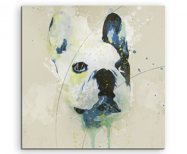 French Bulldog Aqua 60x60cm Aqua Art Wandbild