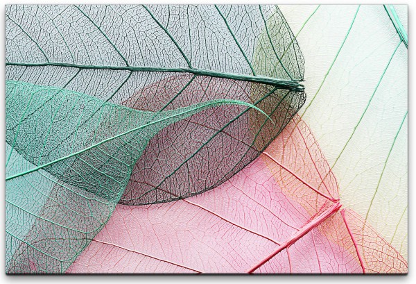 Blätter Wandbild in verschiedenen Größen