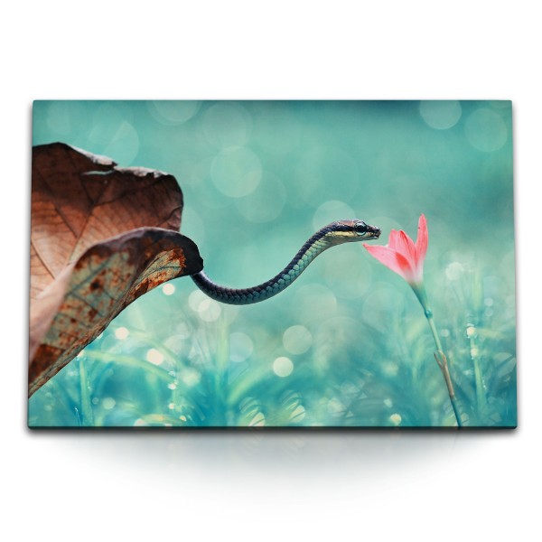 120x80cm Wandbild auf Leinwand Kleine Schlange exotische Blume Tierfotografie Kunstvoll