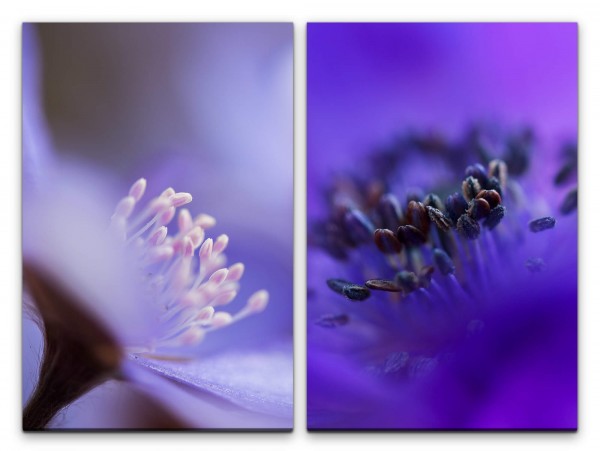 2 Bilder je 60x90cm Blumen Blüten Blau Nektar Dekorativ Fotokunst Makrofotografie