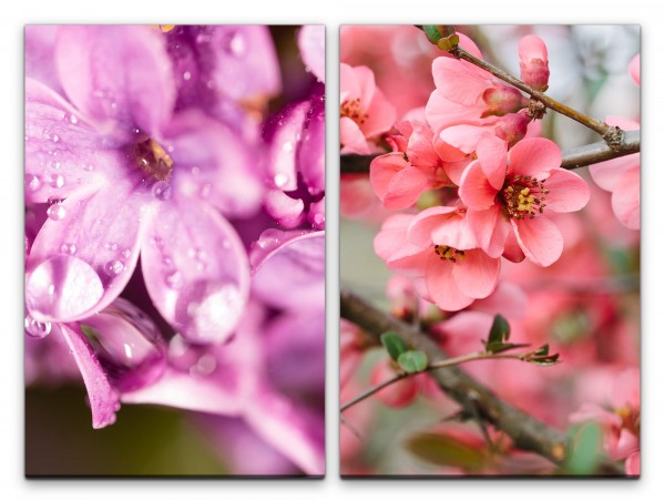 2 Bilder je 60x90cm Frühling Blumen Kirschbaum Kirschblüten Natur Rosa Makrofotografie