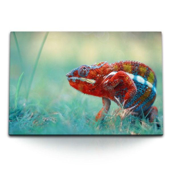120x80cm Wandbild auf Leinwand Chamäleons Bunt Rot Tierfotografie Reptil Grün