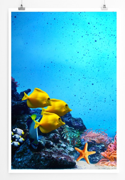 90x60cm Poster Buntes Korallenriff mit gelben Fischen