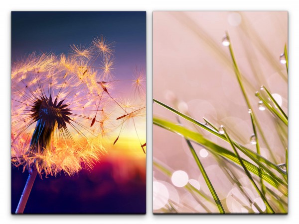 2 Bilder je 60x90cm Pusteblume Grashalme Regentropfen Sonnenuntergang Abendröte Natur Entspannend
