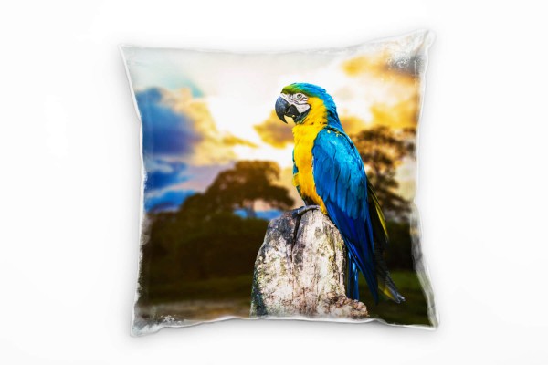 Tiere, Nahaufnahme, Papagei, Brasilien, gelb, blau Deko Kissen 40x40cm für Couch Sofa Lounge Zierkis
