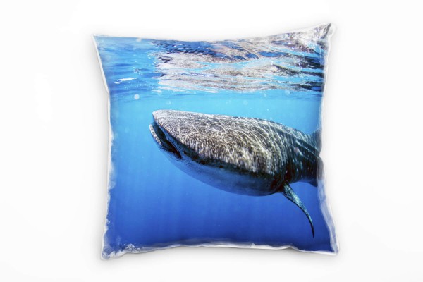 Tiere, Walhai, Unterwasser, blau, grau Deko Kissen 40x40cm für Couch Sofa Lounge Zierkissen