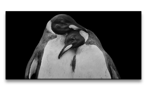 Leinwandbild 120x60cm Pinguine Pärchen Schwarz Weiß Tierfotografie Romantisch