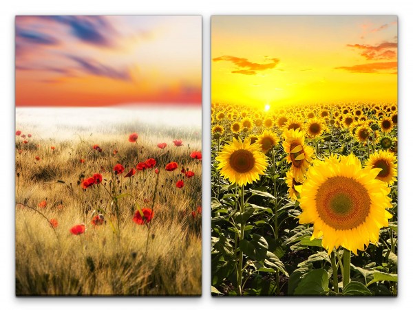 2 Bilder je 60x90cm Sonnenblumen Mohnblumen Sommer Sonnenschein Horizont Sonne Sonnenuntergang