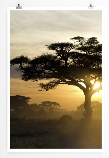 90x60cm Poster Akazienbaum bei Sonnenuntergang Kenia Afrika
