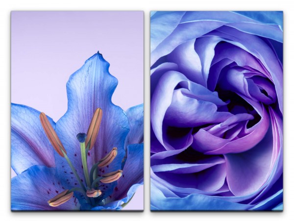 2 Bilder je 60x90cm Lilie Rose Blüten Blau Dekorativ Seide Makrofotografie