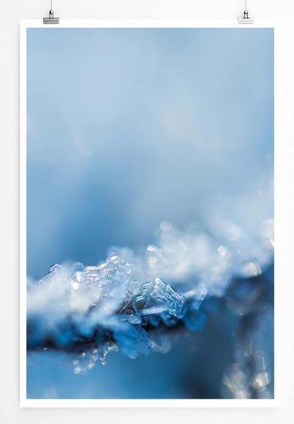 60x90cm Poster Naturfotografie  Frost am Zweig