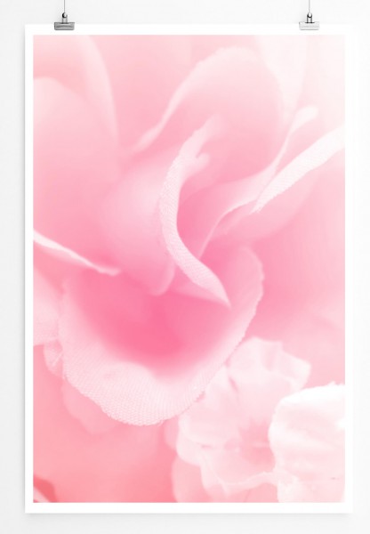60x90cm Poster Künstlerische Fotografie  Rosa Blüten