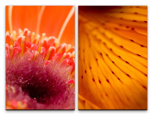 2 Bilder je 60x90cm Blumen Blüten Rot Orange Sommer Dekorativ Makrofotografie