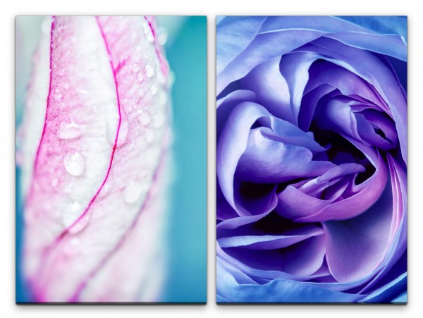 2 Bilder je 60x90cm Orchidee Blumen Blüten Rose Regentropfen Dekorativ Makrofotografie