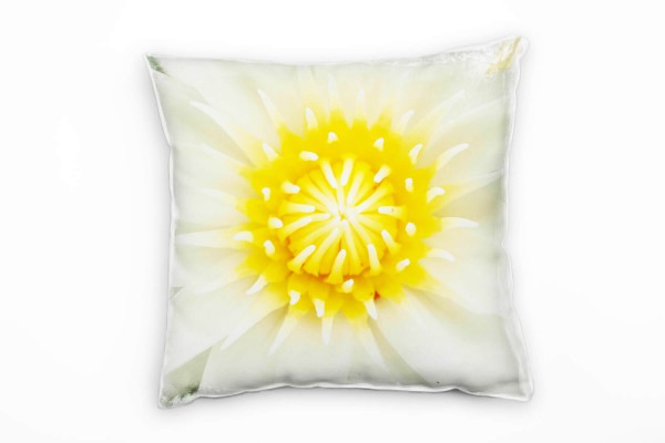 Macro, Blumen, Lotusblume, weiß, gelb Deko Kissen 40x40cm für Couch Sofa Lounge Zierkissen