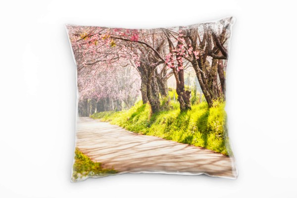 Natur, rosa, grün, Kirschblüten, Allee, Thailand Deko Kissen 40x40cm für Couch Sofa Lounge Zierkisse