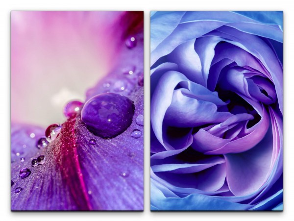 2 Bilder je 60x90cm Wassertropfen Blüten Rose Seide Dekorativ Fotokunst Makrofotografie