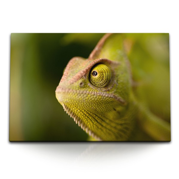 120x80cm Wandbild auf Leinwand Chamäleon Grün Tierfotografie Reptil Tropisch