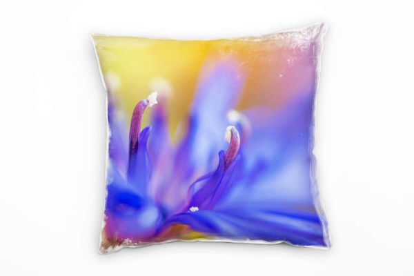 Blumen, Macro, blau, orange, Blütenblätter, Unscharf Deko Kissen 40x40cm für Couch Sofa Lounge Zierk