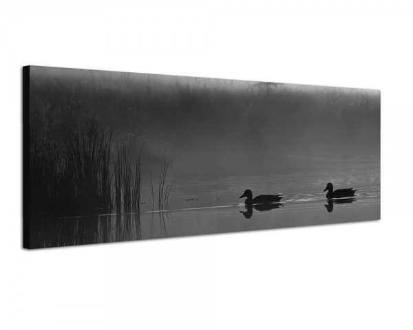 150x50cm Wasser Enten Schilf Dunst Nebel Dämmerung