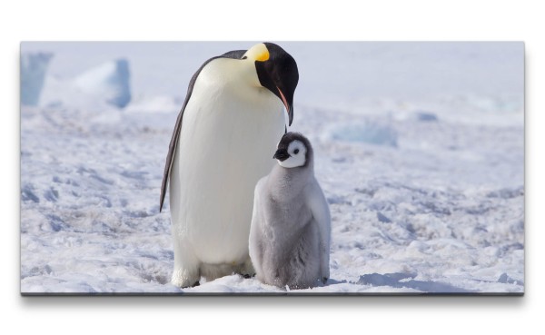 Leinwandbild 120x60cm Pinguin Mama mit Baby Süß Flauschig Lieblich Schnee