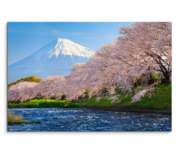120x80cm Wandbild Berg Fuji Fluss Kirschbäume Morgenlicht