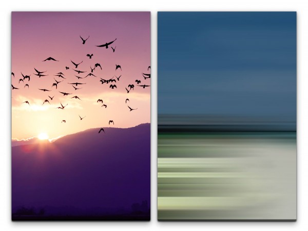 2 Bilder je 60x90cm Vögel Himmel Fliegen Freiheit Horizont Sonnenuntergang Wolken