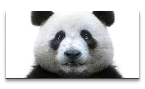 Leinwandbild 120x60cm Panda Pandabär Flauschig Süß Lieblich Niedlich