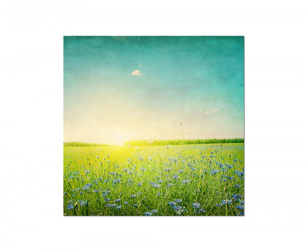 80x80cm Kornblumen Feld Sonnenuntergang Frühling
