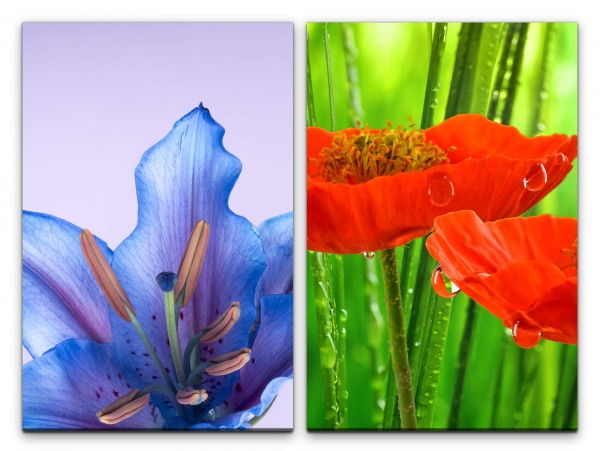2 Bilder je 60x90cm Orchidee Blumen Natur Regentropfen Frisch Erfrischend Makrofotografie