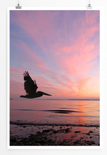 60x90cm Landschaftsfotografie Poster Sonnenaufgang mit Pelikan im Flug