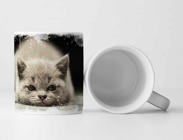 Tasse Geschenk Tierfotografie – Dösendes Britisch Kurzhaar Kätzchen