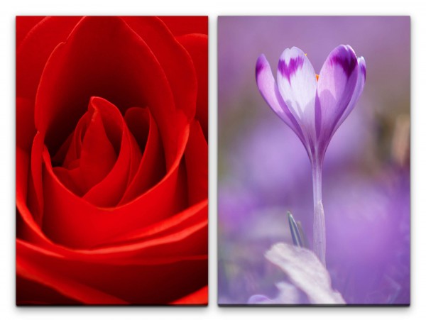2 Bilder je 60x90cm Rose Blumen Romantisch Rot Liebe Dekorativ Feminin
