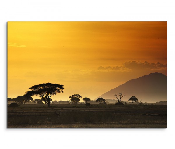 120x80cm Wandbild Afrika Kenia Akazien Bäume Sonnenuntergang