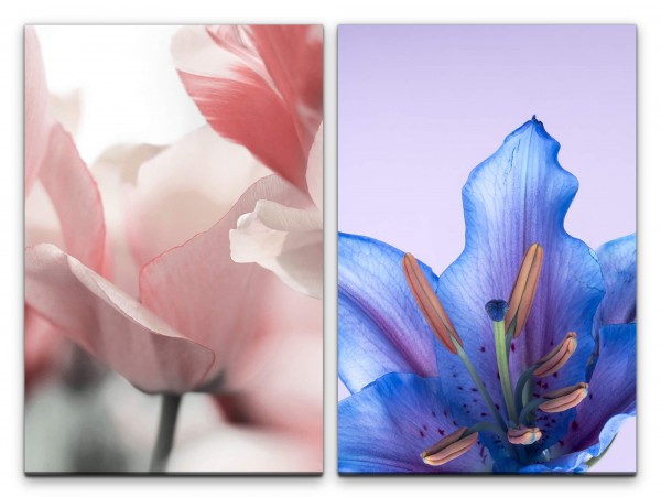 2 Bilder je 60x90cm Tulpe Blumen Blüten Zart Fein Dekorativ Makrofotografie