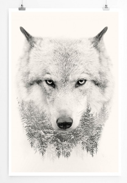 Illustration  Wolfskopf mit Tannenwald 60x90cm Poster
