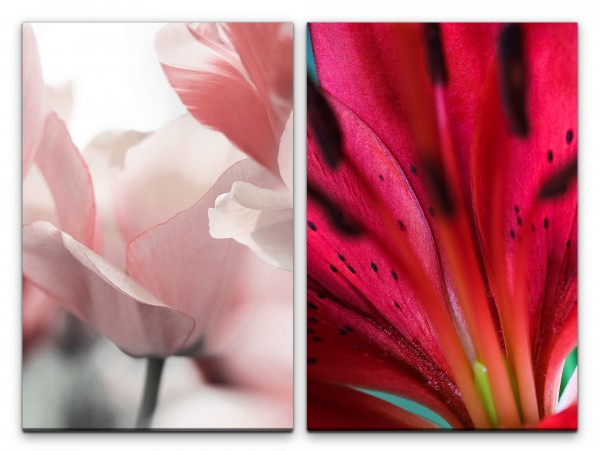 2 Bilder je 60x90cm Tulpen Blumen Blüten Rot Weiß Dekorativ Makrofotografie