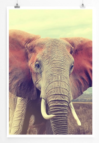 Wilder afrikanischer Elefant Kenia 60x90cm Poster
