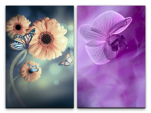 2 Bilder je 60x90cm Zinnien Schmetterlinge Blumen Sommer Orchidee Violett Makrofotografie