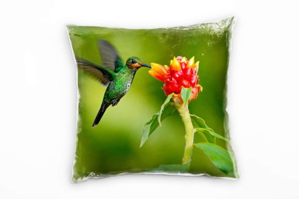 Tiere, Kolibri, Blume, grün, rot Deko Kissen 40x40cm für Couch Sofa Lounge Zierkissen