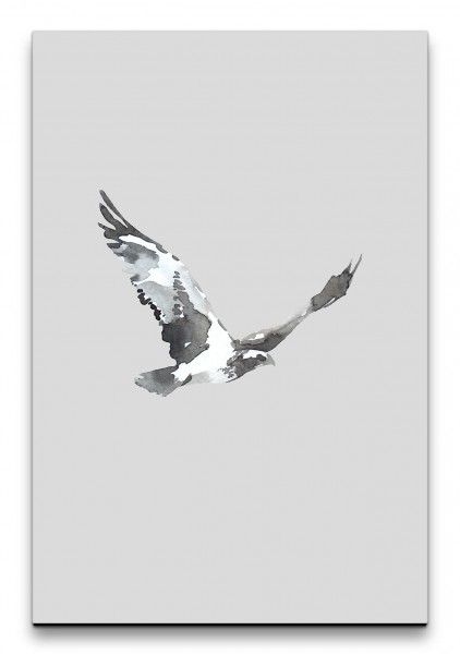 Falke Vogel Wasserfarben Grautöne Aquarell Schwarz Weiß