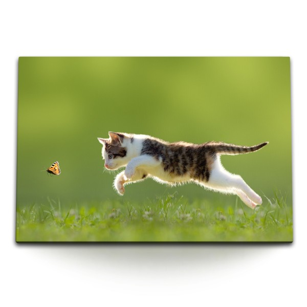 120x80cm Wandbild auf Leinwand Kleine Katze Wiese Gras Grün Schmetterling