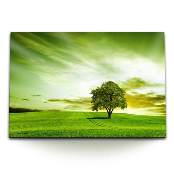 120x80cm Wandbild auf Leinwand Grüne Wiese Gras Baum Landschaft Horizont