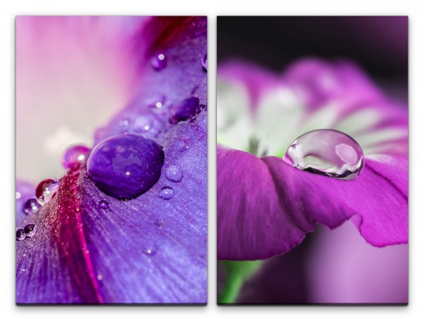 2 Bilder je 60x90cm Orchidee Tropfen Violett Blüten Blumen Fotokunst Makrofotografie