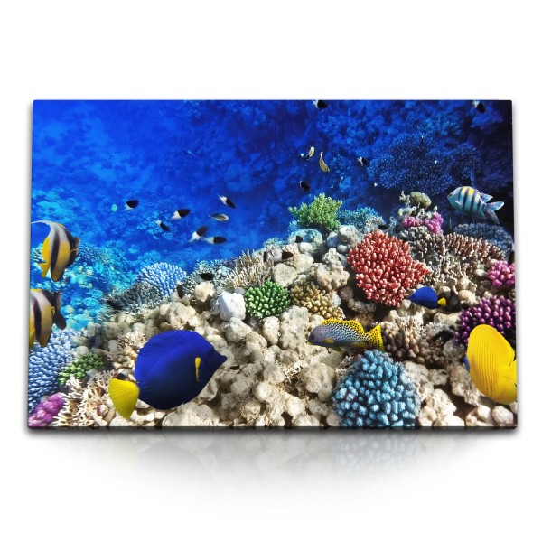 120x80cm Wandbild auf Leinwand Unterwasserfotografie Korallenriff Korallen bunte Fische