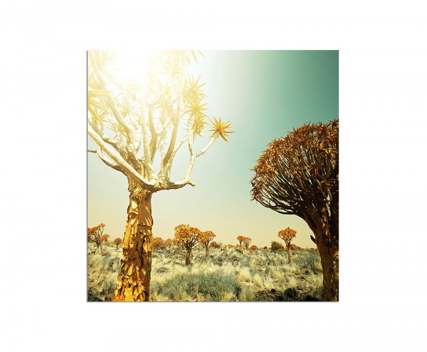 80x80cm Afrika Landschaft Bäume Wiese