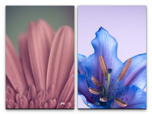 2 Bilder je 60x90cm Lilie Blüten Blumen Dekorativ Kunstvoll Zart Makrofotografie