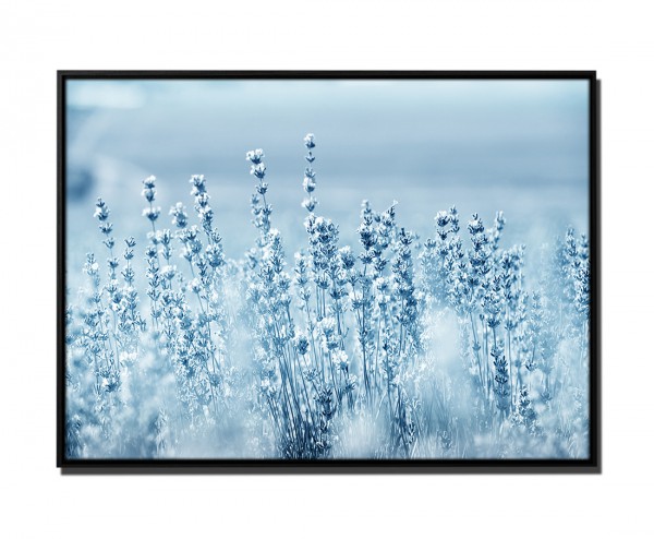 105x75cm Leinwandbild Petrol Natur Lavendel-Blumen