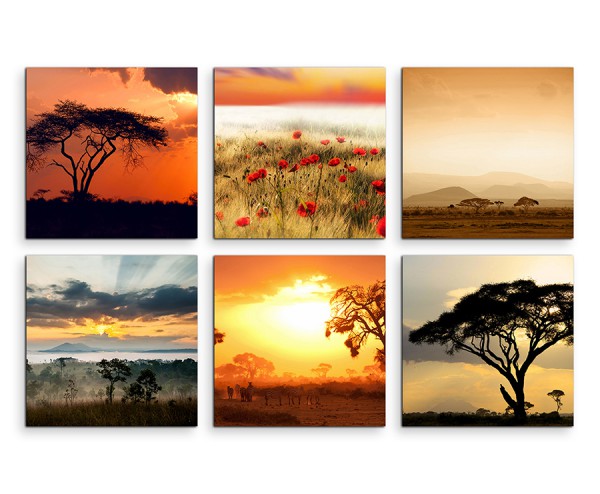 6 teiliges Leinwandbild je 30x30cm - Akazienbaum Afrika Wüste Mohnblumen Sonnenuntergang