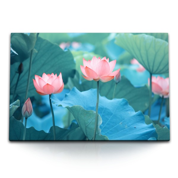 120x80cm Wandbild auf Leinwand Lotus Blumen rosa Blüten Wasserblume Asien Natur